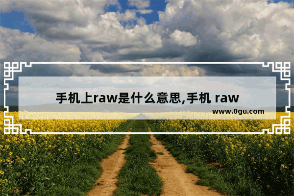 手机上raw是什么意思,手机 raw