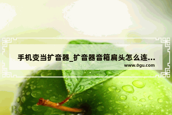 手机变当扩音器_扩音器音箱扁头怎么连接手机