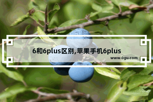 6和6plus区别,苹果手机6plus