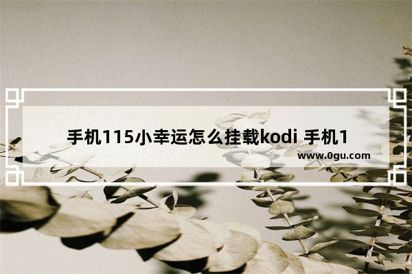 手机115小幸运怎么挂载kodi 手机115