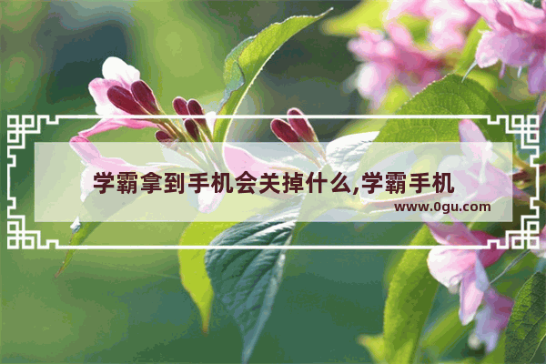 学霸拿到手机会关掉什么,学霸手机