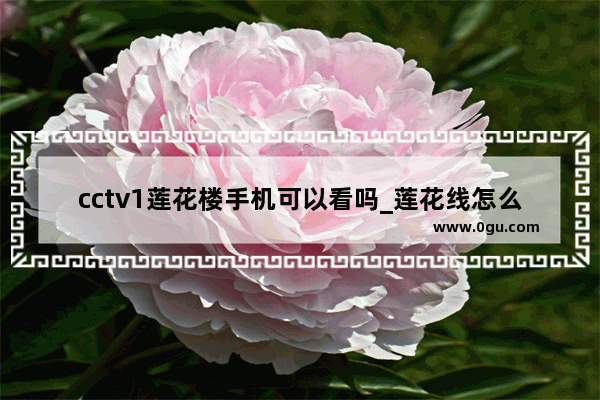 cctv1莲花楼手机可以看吗_莲花线怎么连接手机