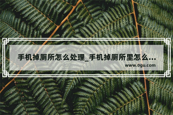 手机掉厕所怎么处理_手机掉厕所里怎么捞上来