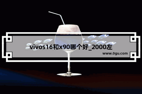 vivos16和x90哪个好_2000左右华为荣耀跟vivo哪个性价比高