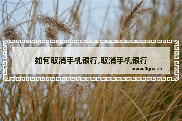 如何取消手机银行,取消手机银行