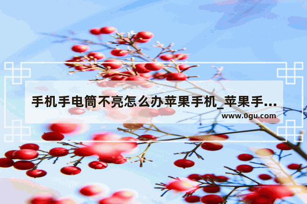 手机手电筒不亮怎么办苹果手机_苹果手机轻点两下如何开启手电筒