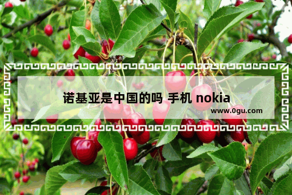 诺基亚是中国的吗 手机 nokia