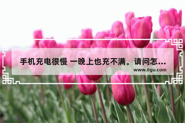 手机充电很慢 一晚上也充不满。请问怎么回事,手机充不满