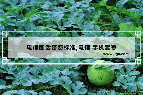 电信固话资费标准,电信 手机套餐