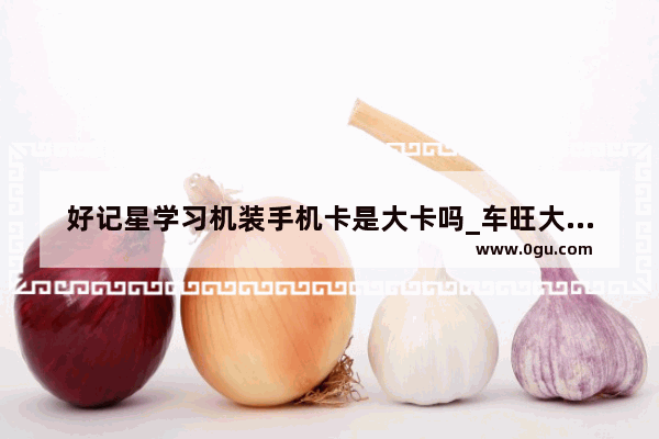好记星学习机装手机卡是大卡吗_车旺大卡怎么更换手机号
