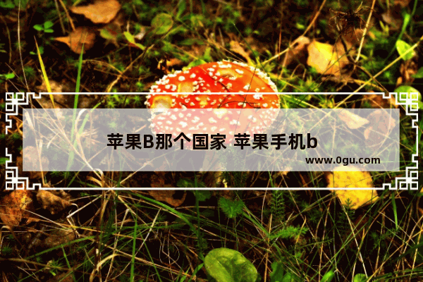 苹果B那个国家 苹果手机b
