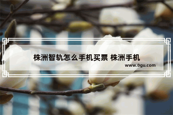 株洲智轨怎么手机买票 株洲手机