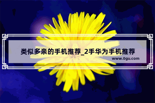 类似多亲的手机推荐_2手华为手机推荐
