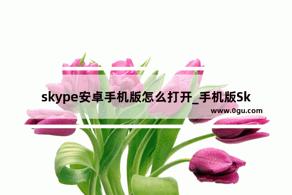skype安卓手机版怎么打开_手机版Skype怎么加外国人聊天