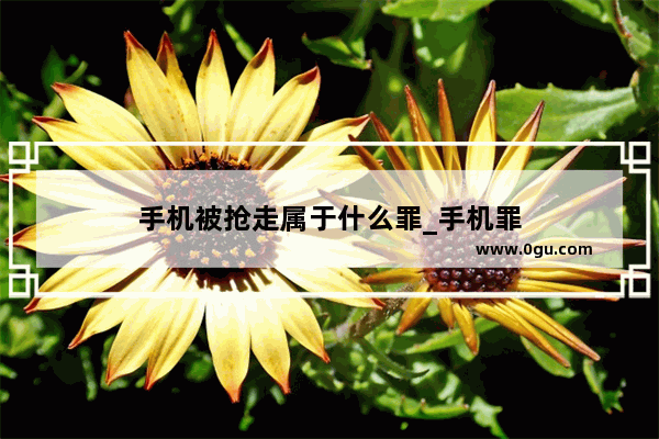 手机被抢走属于什么罪_手机罪