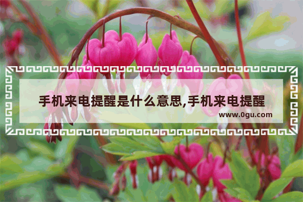手机来电提醒是什么意思,手机来电提醒