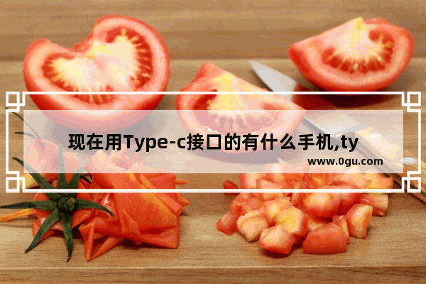 现在用Type-c接口的有什么手机,type c 手机
