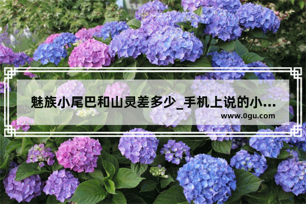 魅族小尾巴和山灵差多少_手机上说的小尾巴是什么意思
