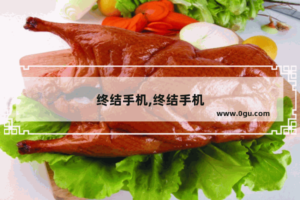 终结手机,终结手机