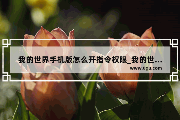 我的世界手机版怎么开指令权限_我的世界手机版指令怎么空格