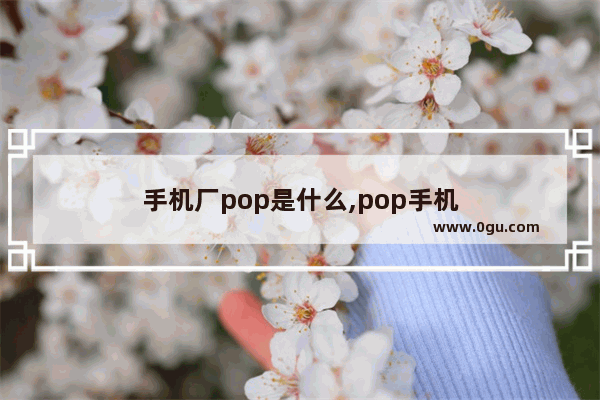 手机厂pop是什么,pop手机