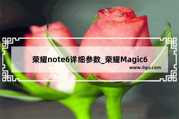荣耀note6详细参数_荣耀Magic6 Pro手机配置参数