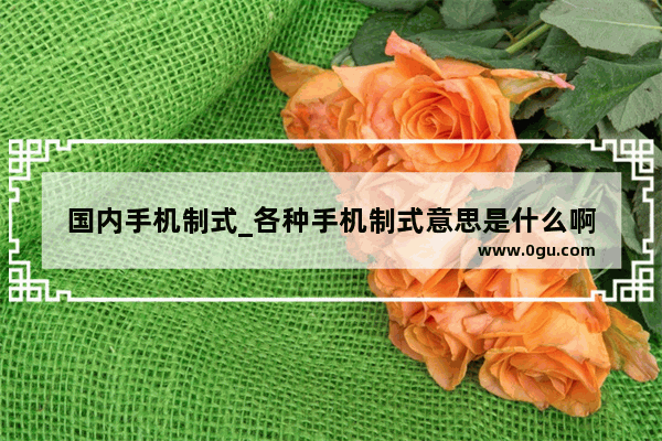 国内手机制式_各种手机制式意思是什么啊