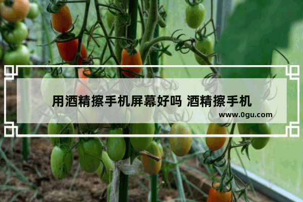 用酒精擦手机屏幕好吗 酒精擦手机