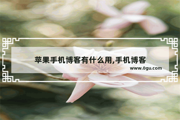 苹果手机博客有什么用,手机博客