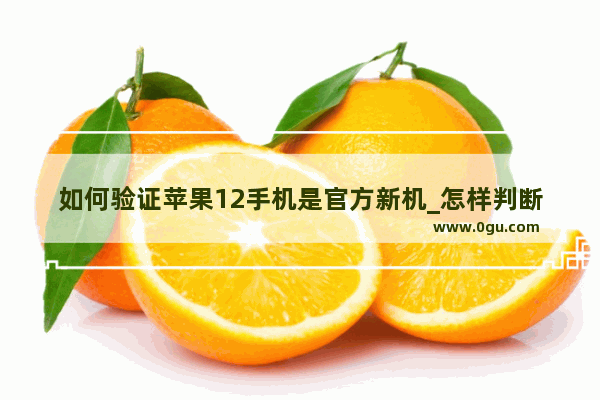 如何验证苹果12手机是官方新机_怎样判断对方使用的是否为苹果手机