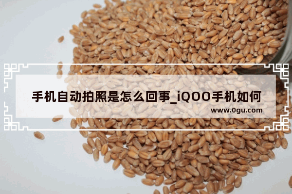 手机自动拍照是怎么回事_iQOO手机如何拍证件照