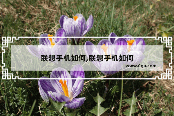 联想手机如何,联想手机如何