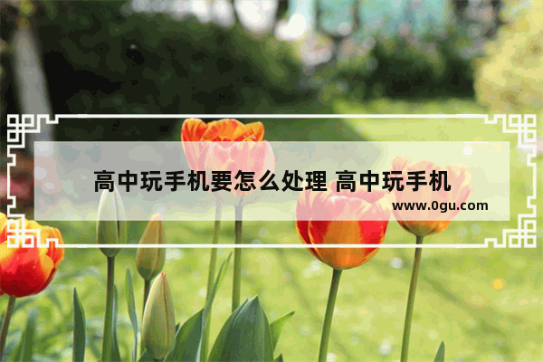 高中玩手机要怎么处理 高中玩手机