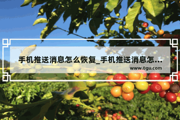 手机推送消息怎么恢复_手机推送消息怎么关闭