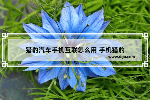 猎豹汽车手机互联怎么用 手机猎豹
