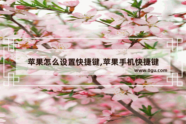 苹果怎么设置快捷键,苹果手机快捷键