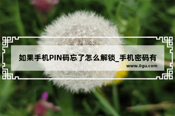 如果手机PIN码忘了怎么解锁_手机密码有几位数字呀