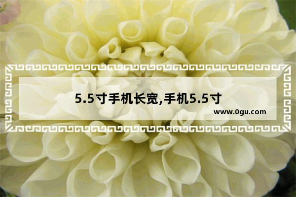 5.5寸手机长宽,手机5.5寸