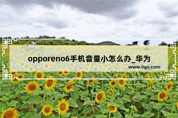 opporeno6手机音量小怎么办_华为nova6声音小是怎么回事