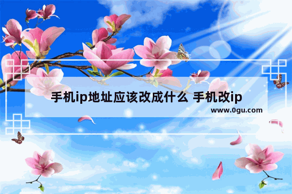 手机ip地址应该改成什么 手机改ip