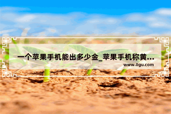一个苹果手机能出多少金_苹果手机称黄金克数的app