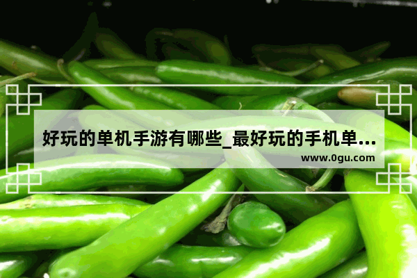 好玩的单机手游有哪些_最好玩的手机单机游戏有什么