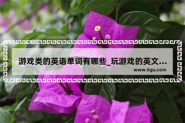 游戏类的英语单词有哪些_玩游戏的英文三个单词