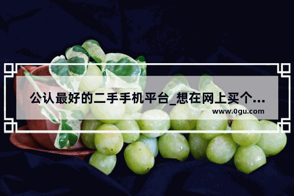 公认最好的二手手机平台_想在网上买个二手手机 请推荐些店铺