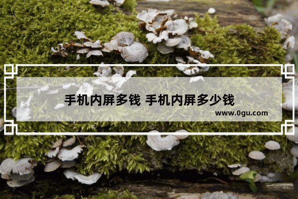 手机内屏多钱 手机内屏多少钱