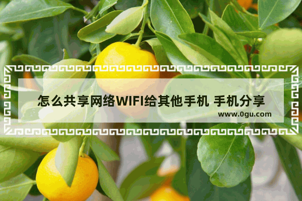 怎么共享网络WIFI给其他手机 手机分享wifi