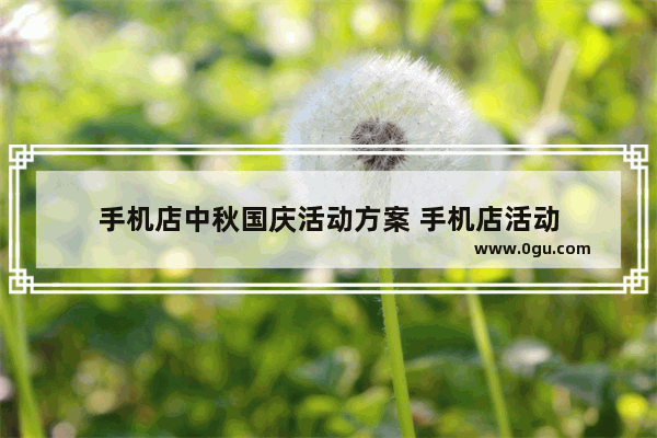 手机店中秋国庆活动方案 手机店活动
