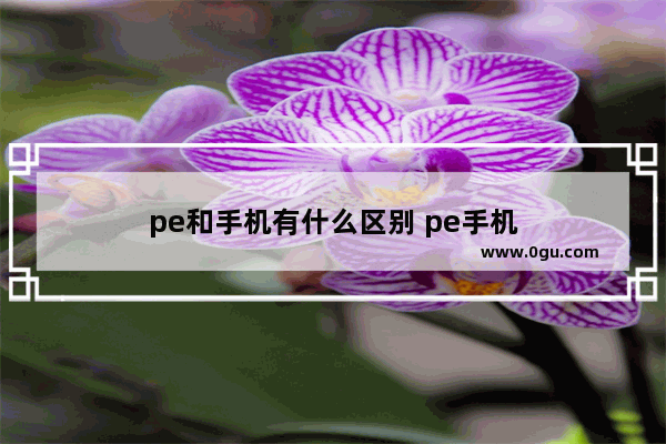 pe和手机有什么区别 pe手机