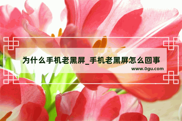 为什么手机老黑屏_手机老黑屏怎么回事