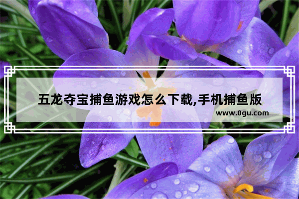 五龙夺宝捕鱼游戏怎么下载,手机捕鱼版